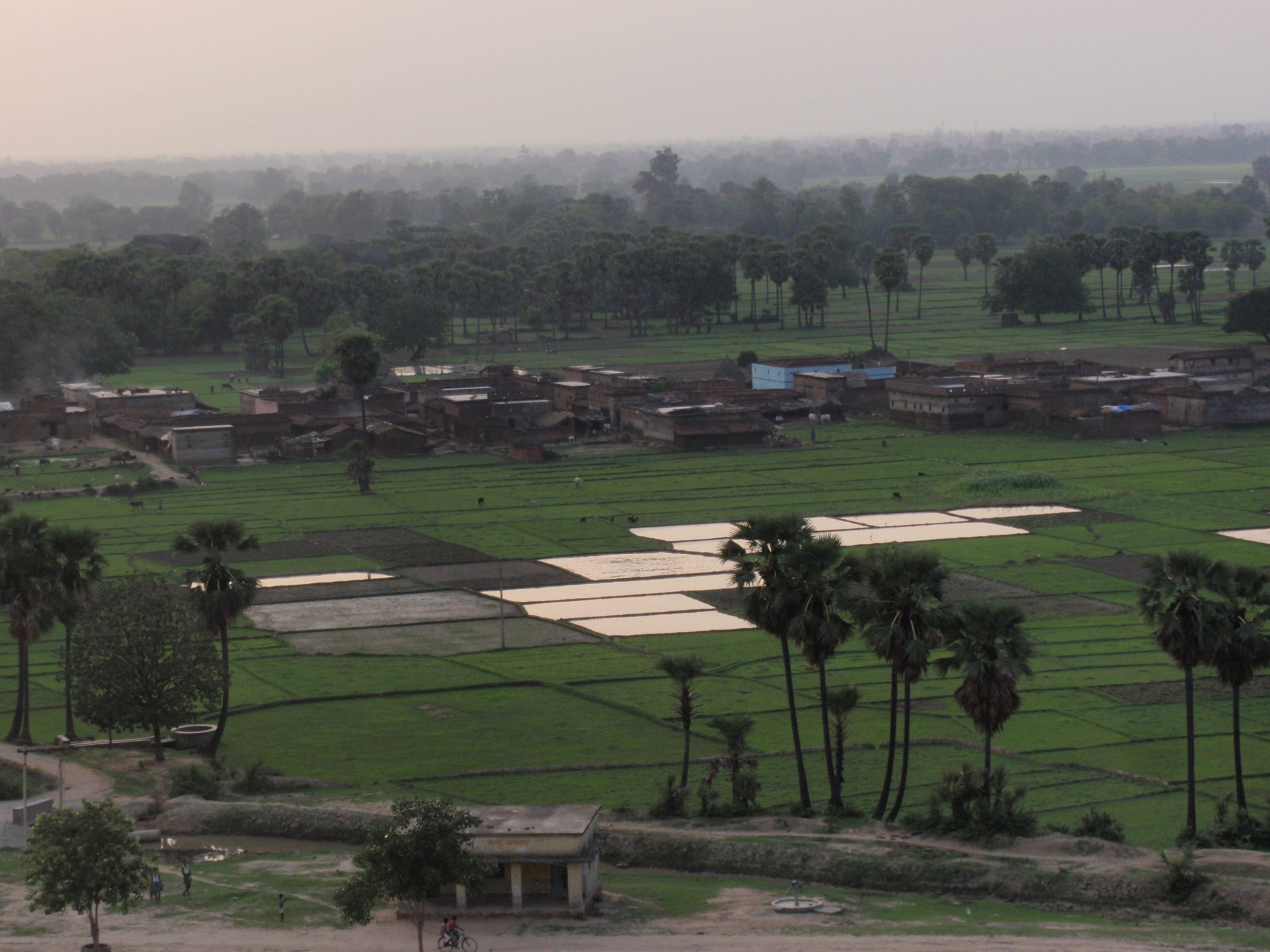 Bihar Board Matric Result